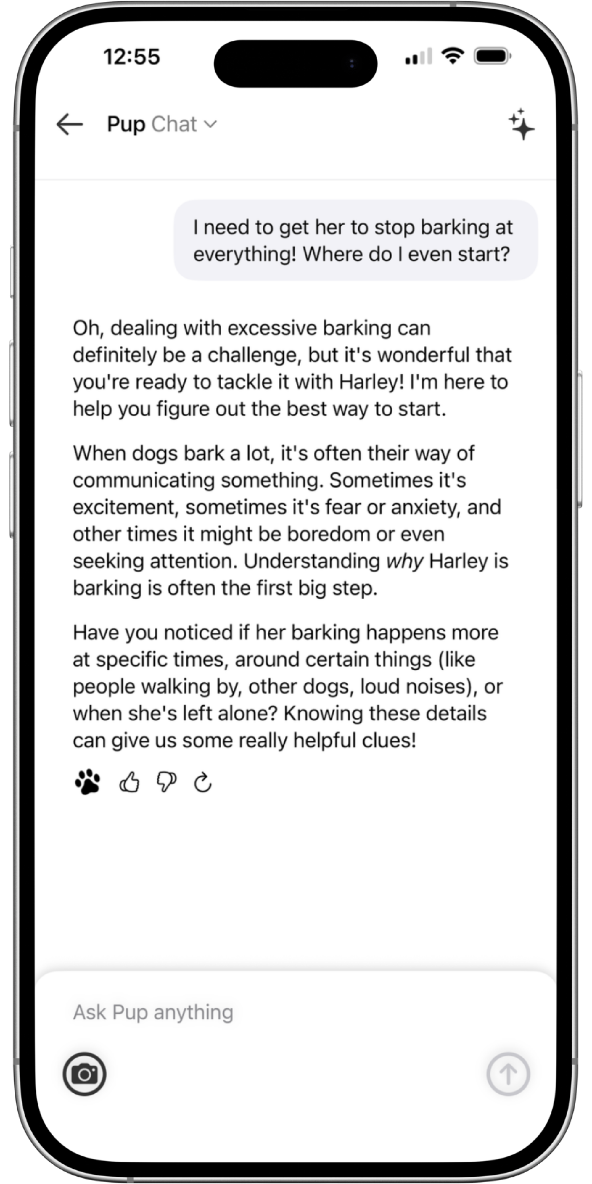 Chat: Help With Barking