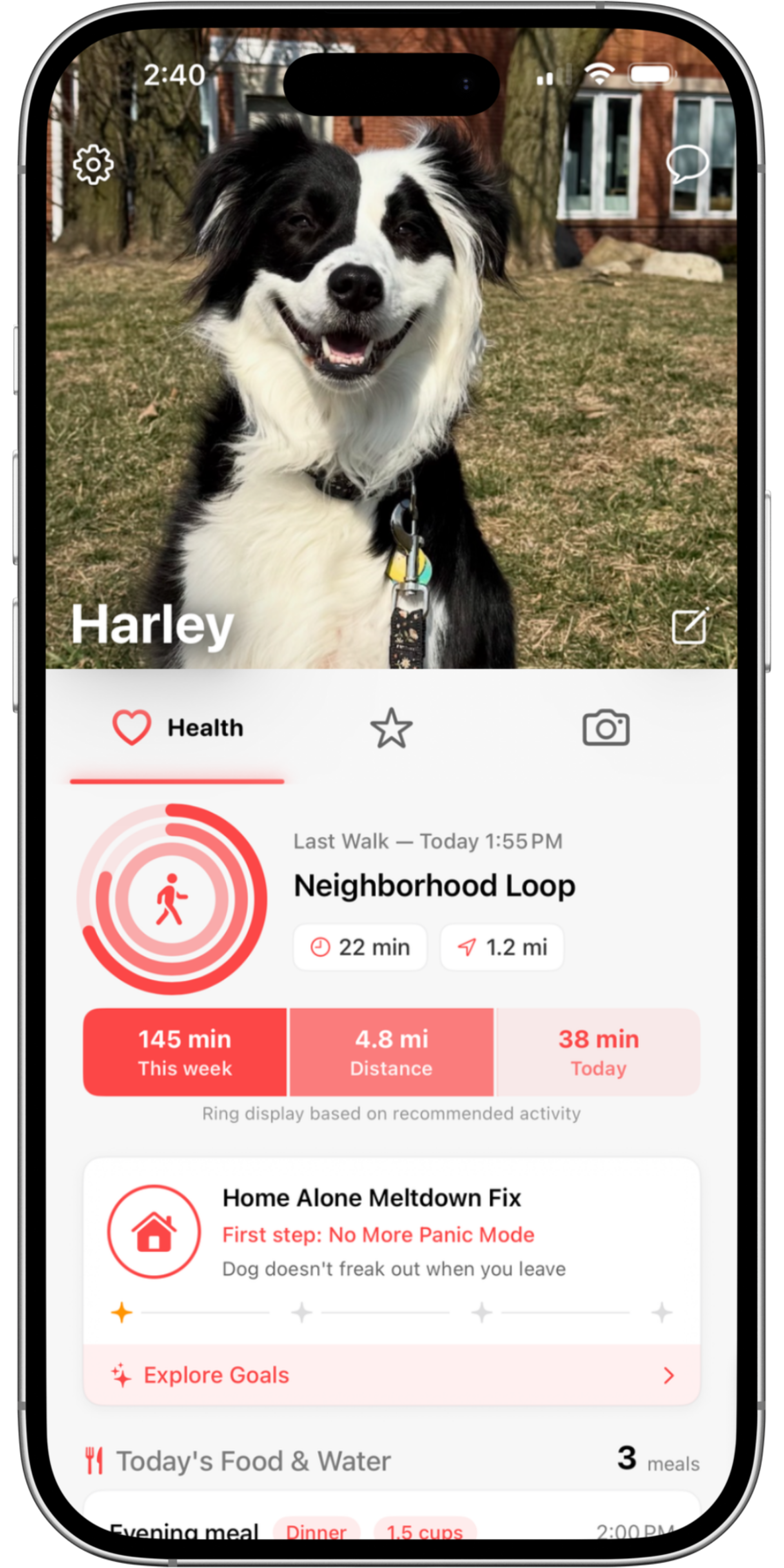 Health Dashboard: Activity and Notes