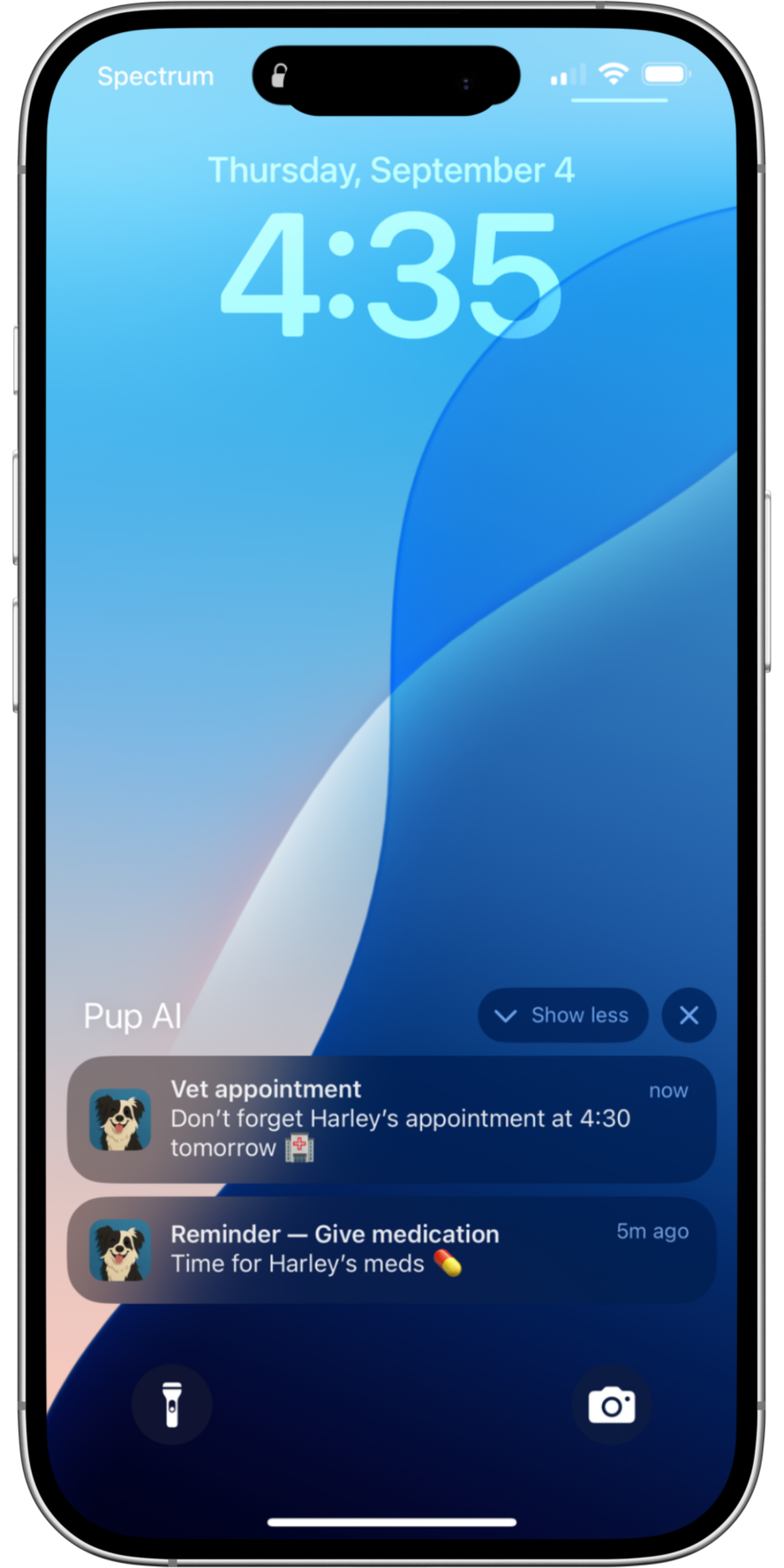 Lock‑Screen Reminders: Medication and Vet