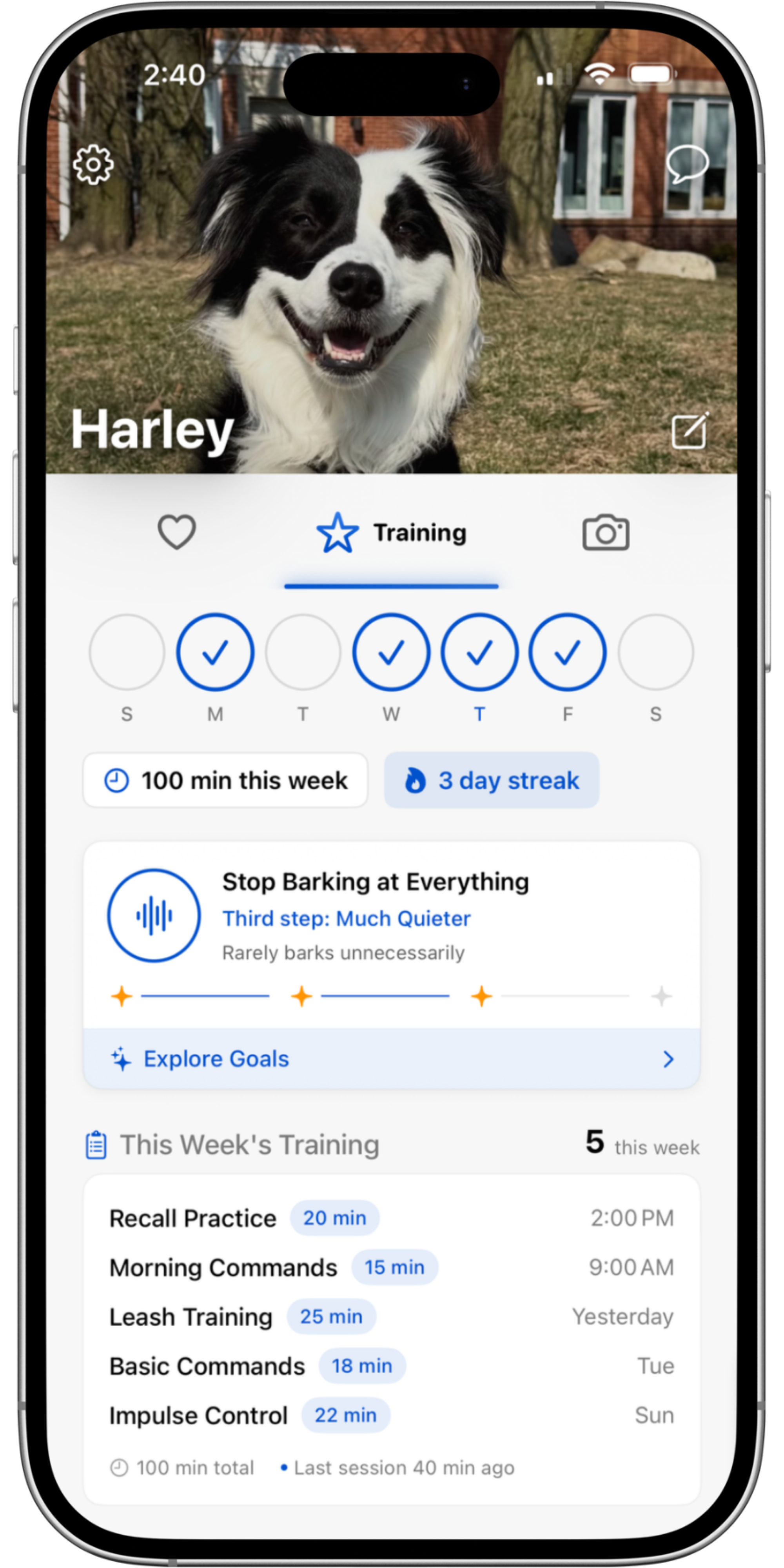 Training Dashboard: Consistency Calendar and Notes